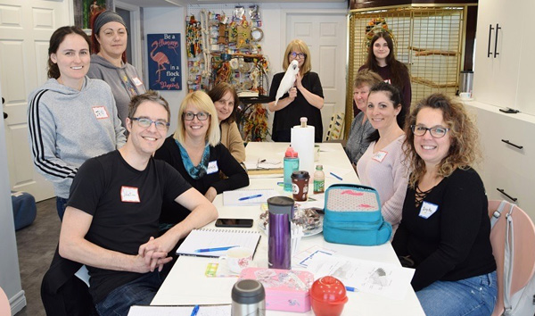 Professionnal teaching 2019