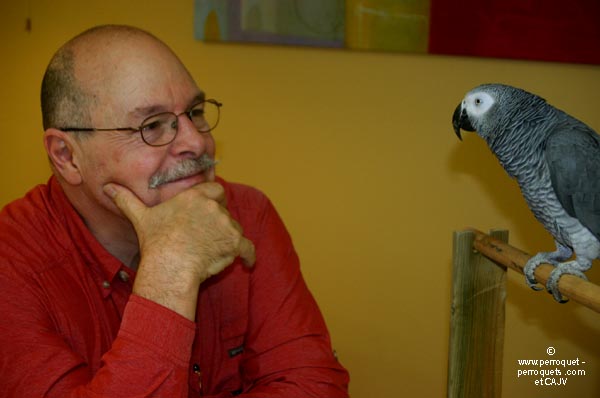 Teaching on parrots - 2009-2010
