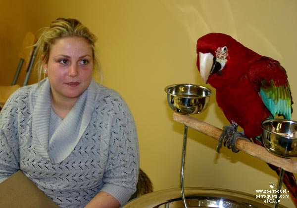 Teaching on parrots - 2009-2010