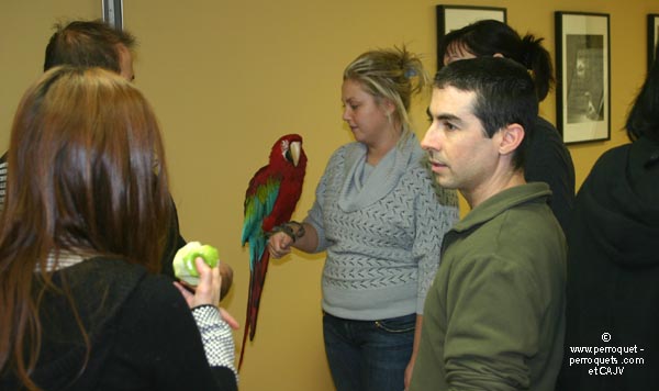 Teaching on parrots - 2009-2010