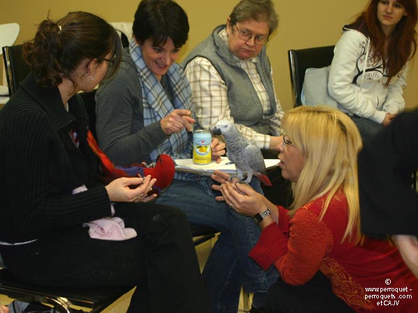 Teaching on parrots - 2009-2010