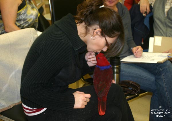 Teaching on parrots - 2009-2010