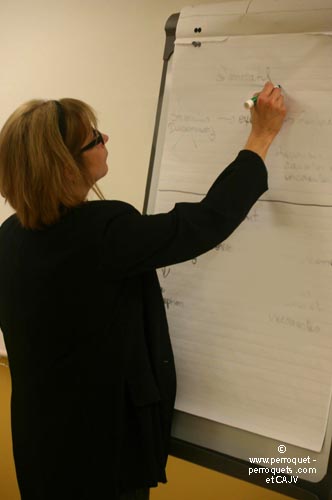 Teaching on parrots - 2009-2010