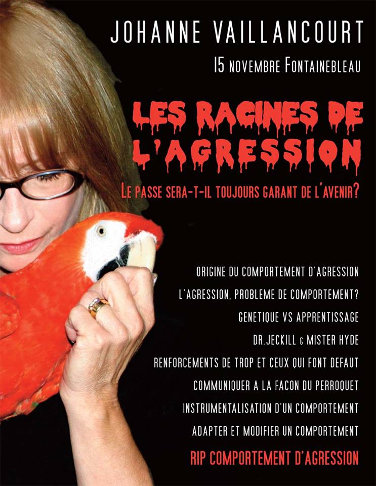 Poster: The roots of aggression in parrots.