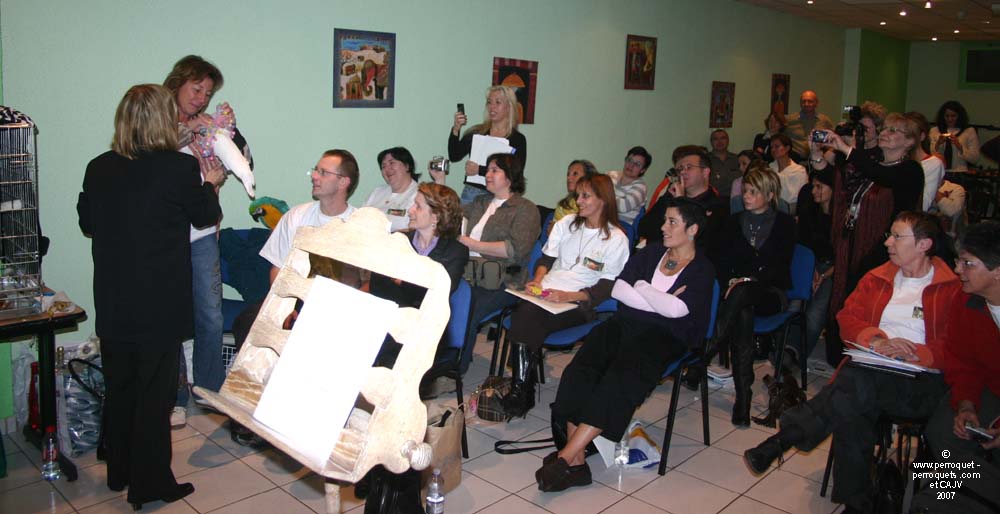 2007 Nice Seminar