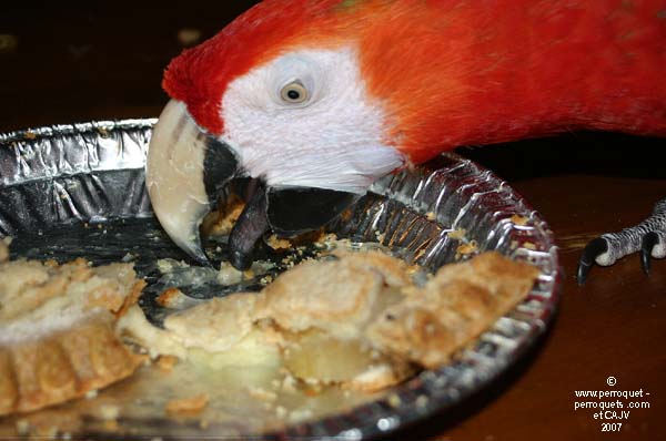 Ara and food table.