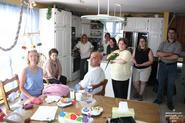 Clients, students and the problematic parrot gang.