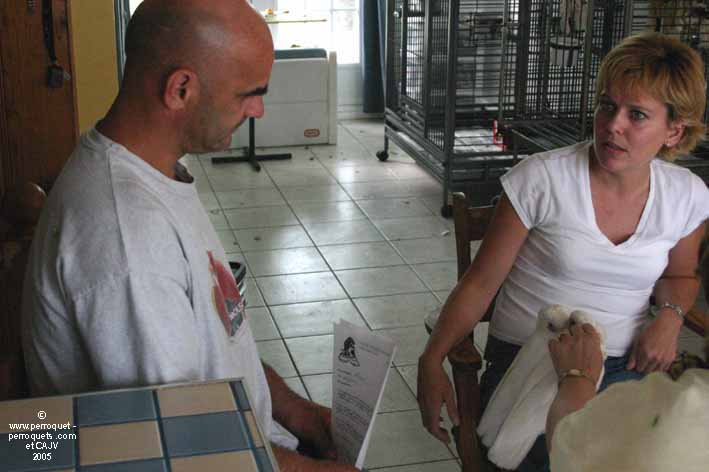 The clients practice the prescribed exercices with their parrots.