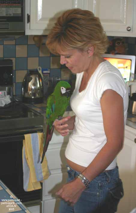 Client-female with distorted thinking parrot.