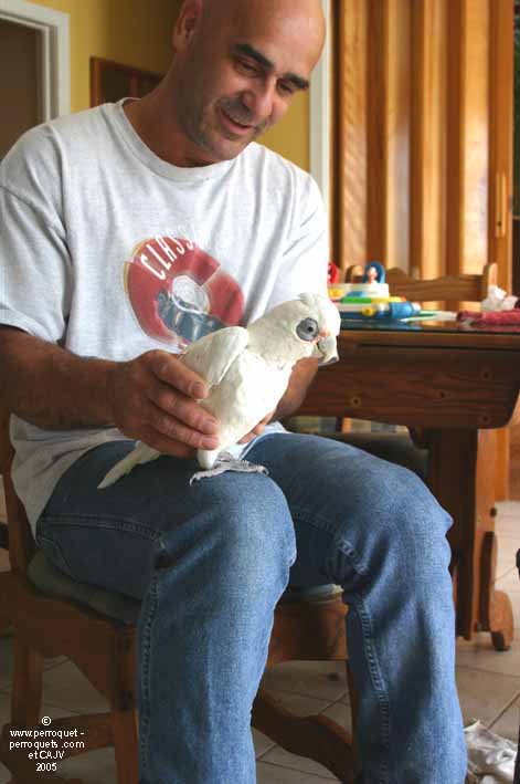 Client-man with one of his parrots.