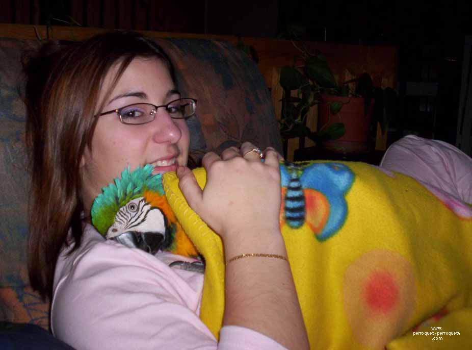 Your parrot may choose you as his life companion, you will then acquire the human darling status.