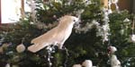 The risks of the holiday season
